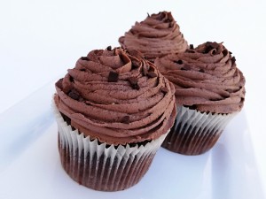 Frosted Chocolate Cupcake 2-pack